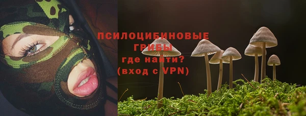 дмт Армянск