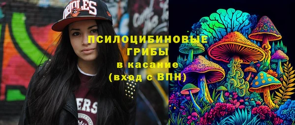 амф Аркадак