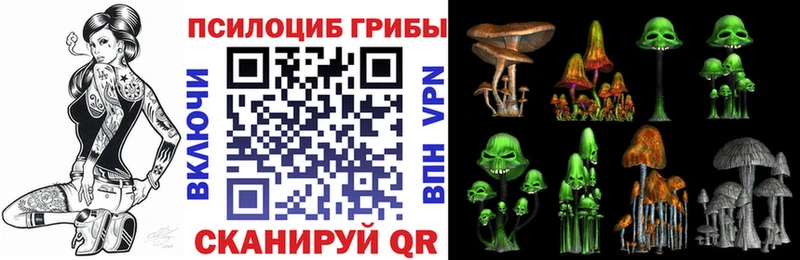 Галлюциногенные грибы GOLDEN TEACHER  МЕГА как войти  Новоузенск 