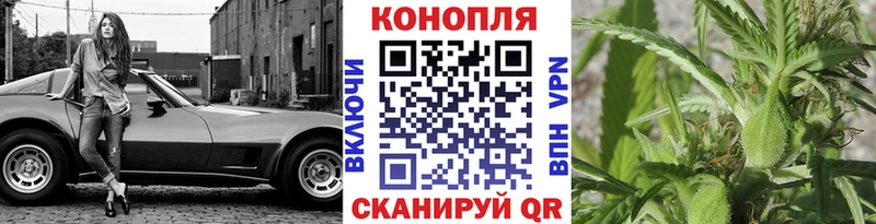 дарнет шоп  Новоузенск  Канабис планчик 